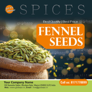 Fennel Seeds-spices-01