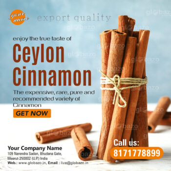 Ceylon Cinnamon (Dalchini)-spices-02