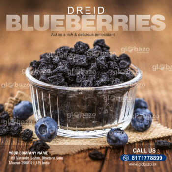 Dried Blueberries (Rich Antioxidant)-spices-08