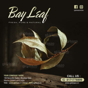 Bay Leaf (Tej Patta)-spices-09