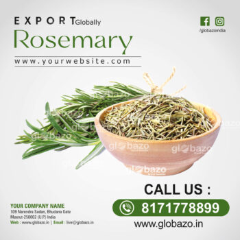Rosemary -spices-11