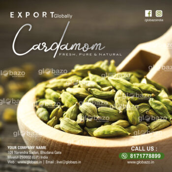 Cardamon (Small Ilaichi)-spices-12