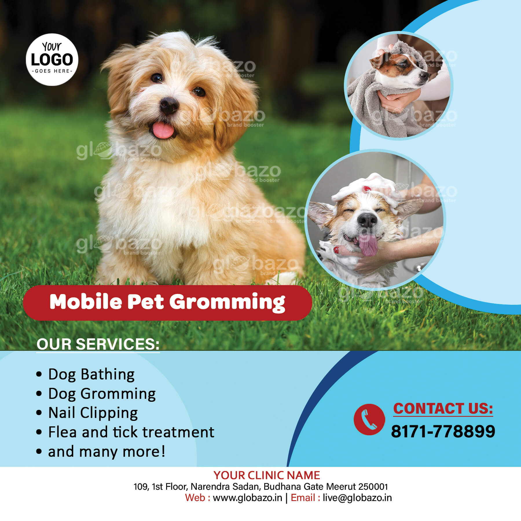 Pet Care-Health-138