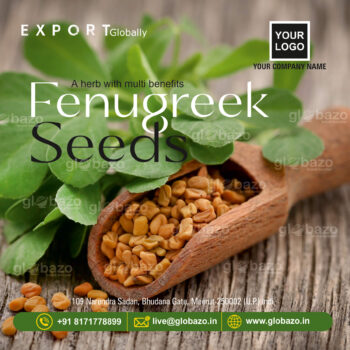 Fenugreek Seeds (Kasuri Methi)-spices-18