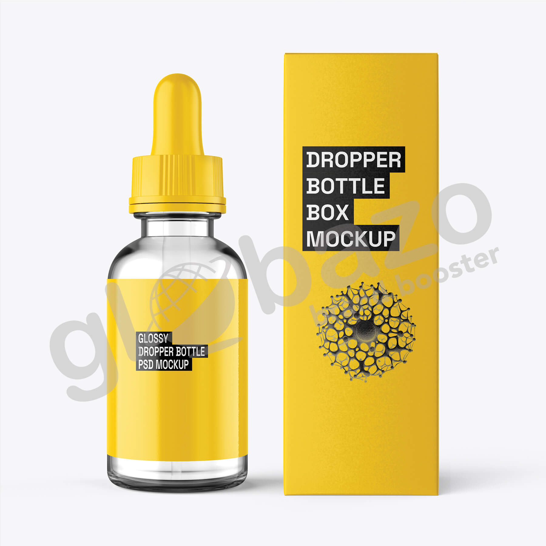 Transparent Glass Dropper Bottle With Box (pkg-55)