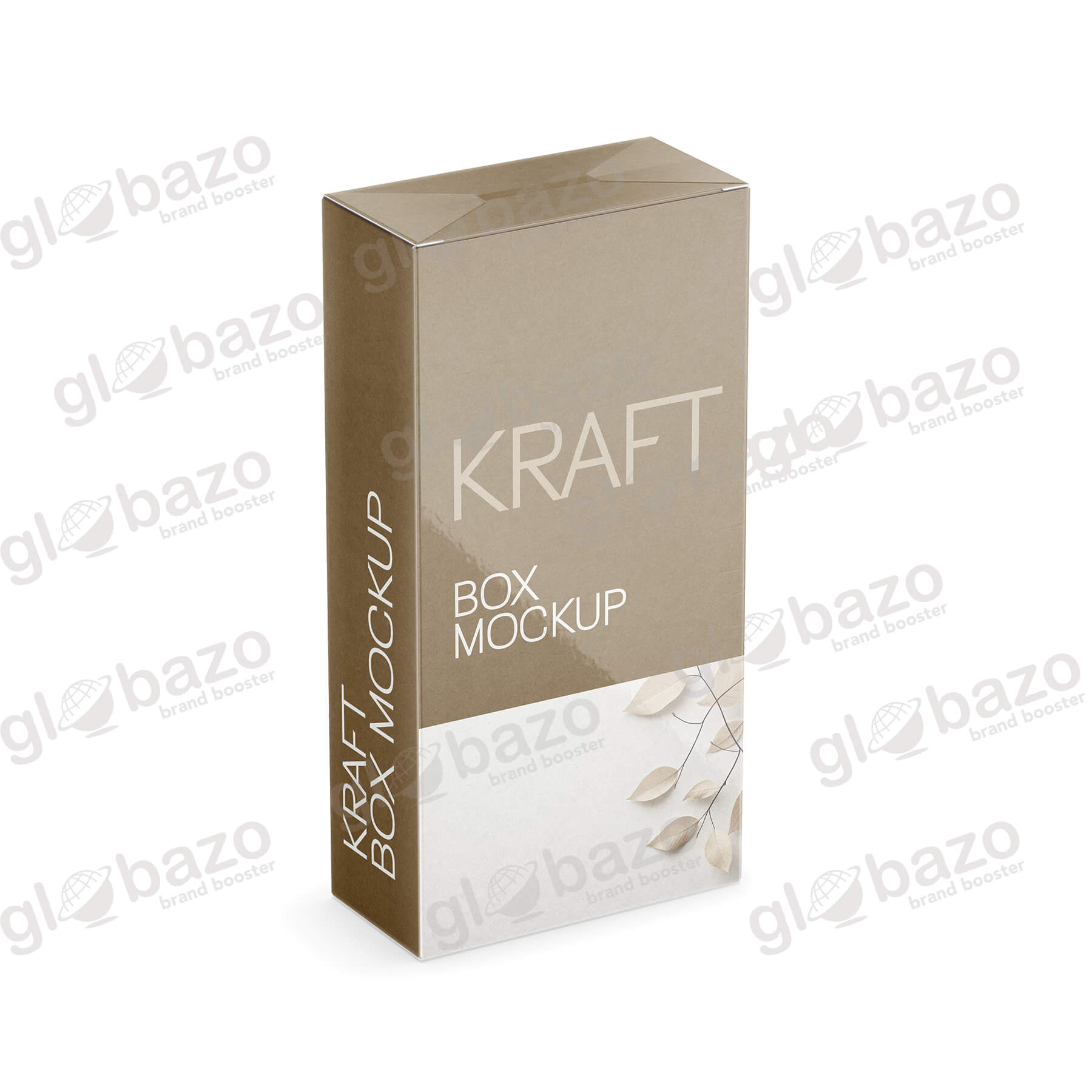 Kraft Box Mockup-pkg-408