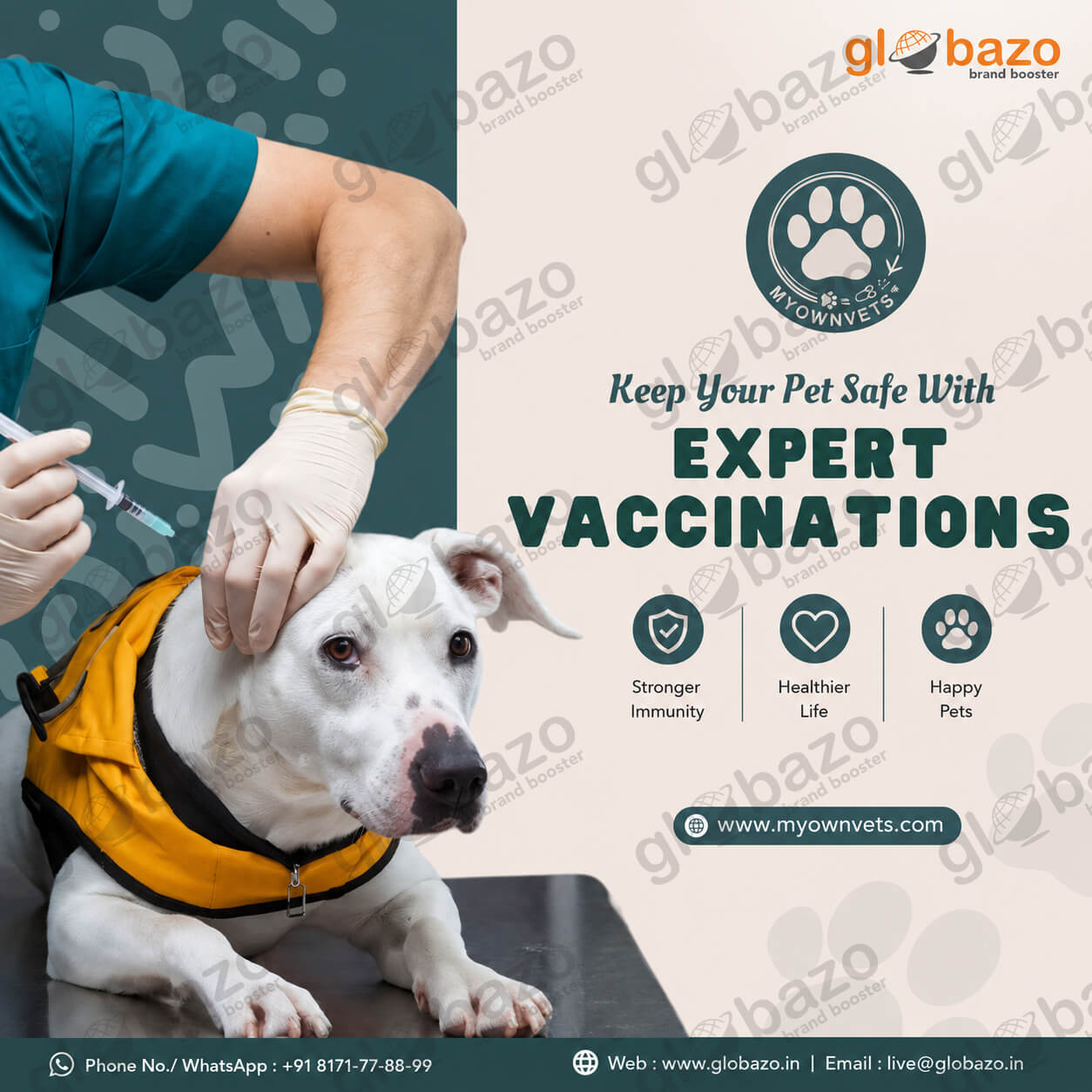 Expert Vaccinations (Health-282)