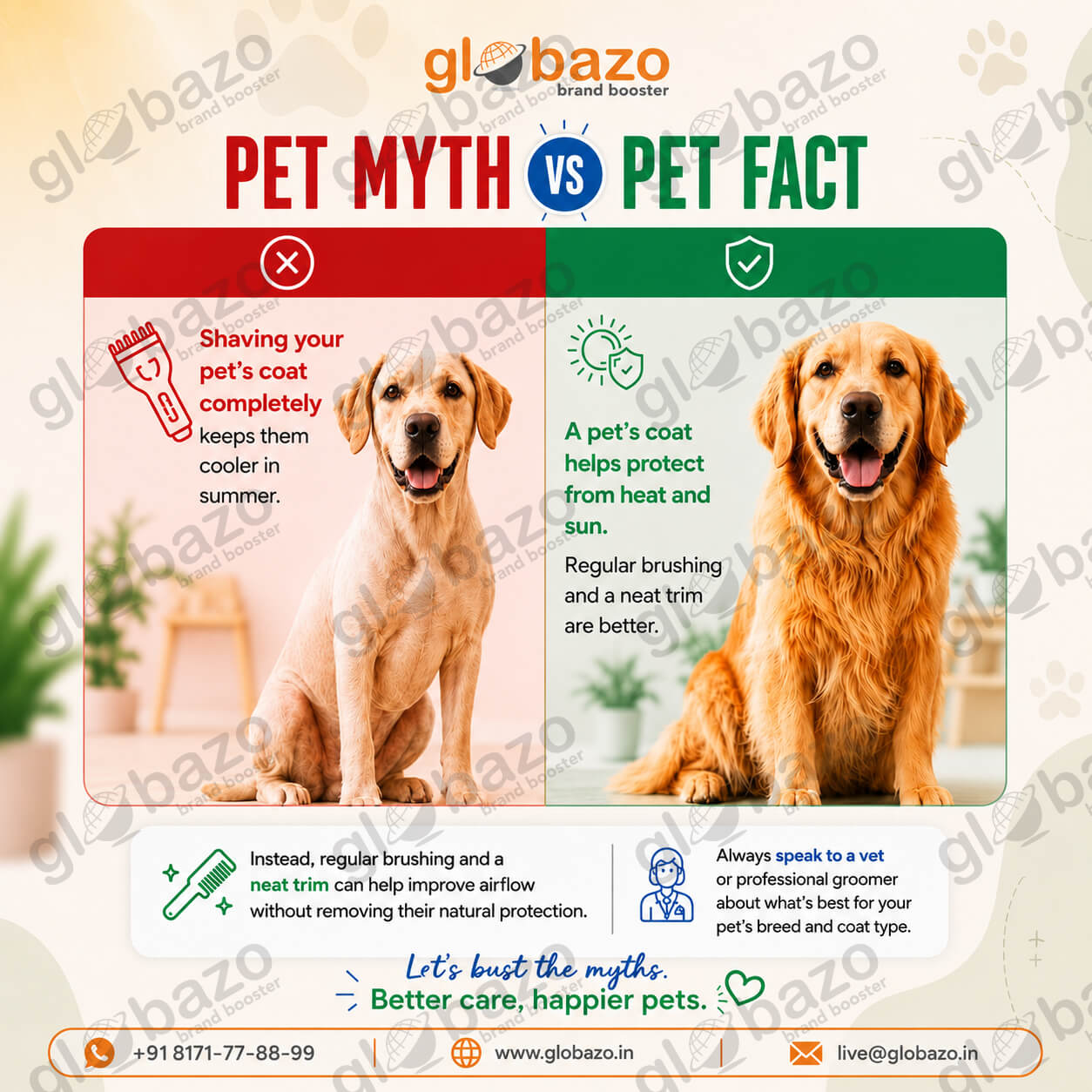 Pet Myth VS Facts (Health-288)