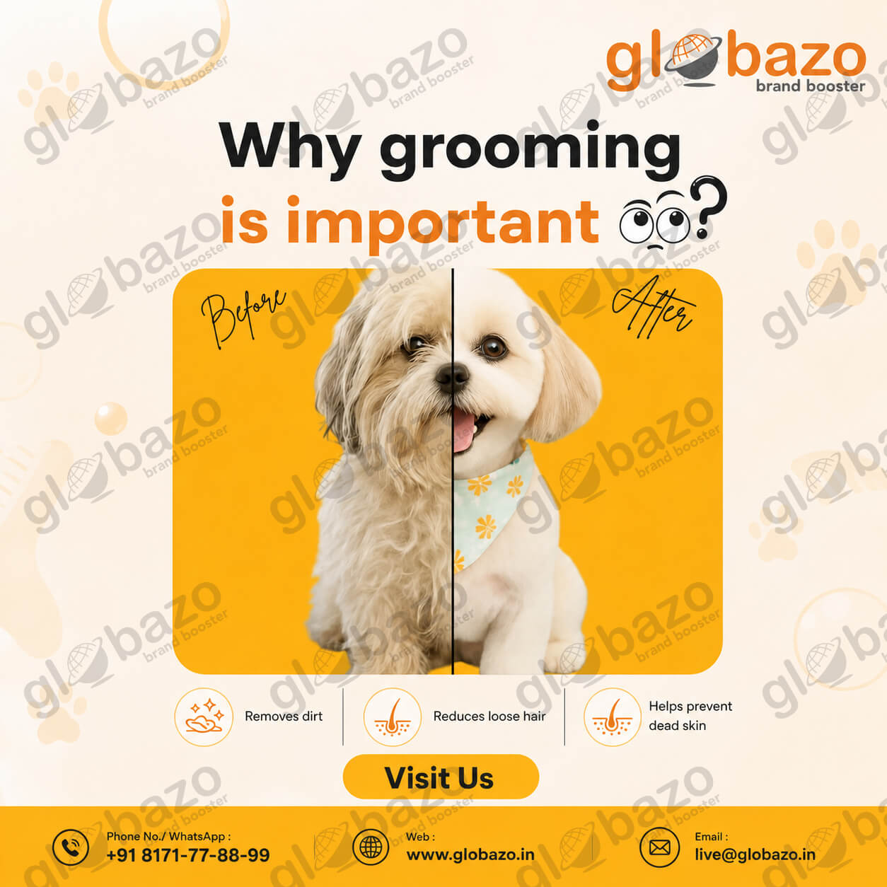 Pet Grooming Is Important (Health-289)