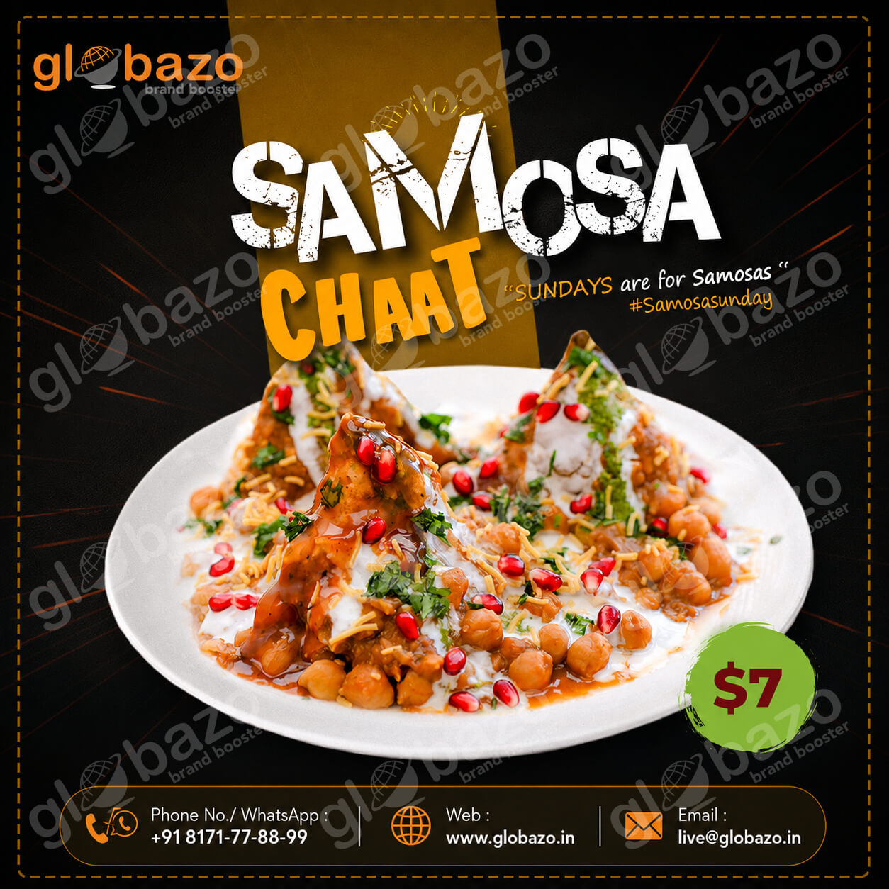 Samosa Chat (snacks-269)