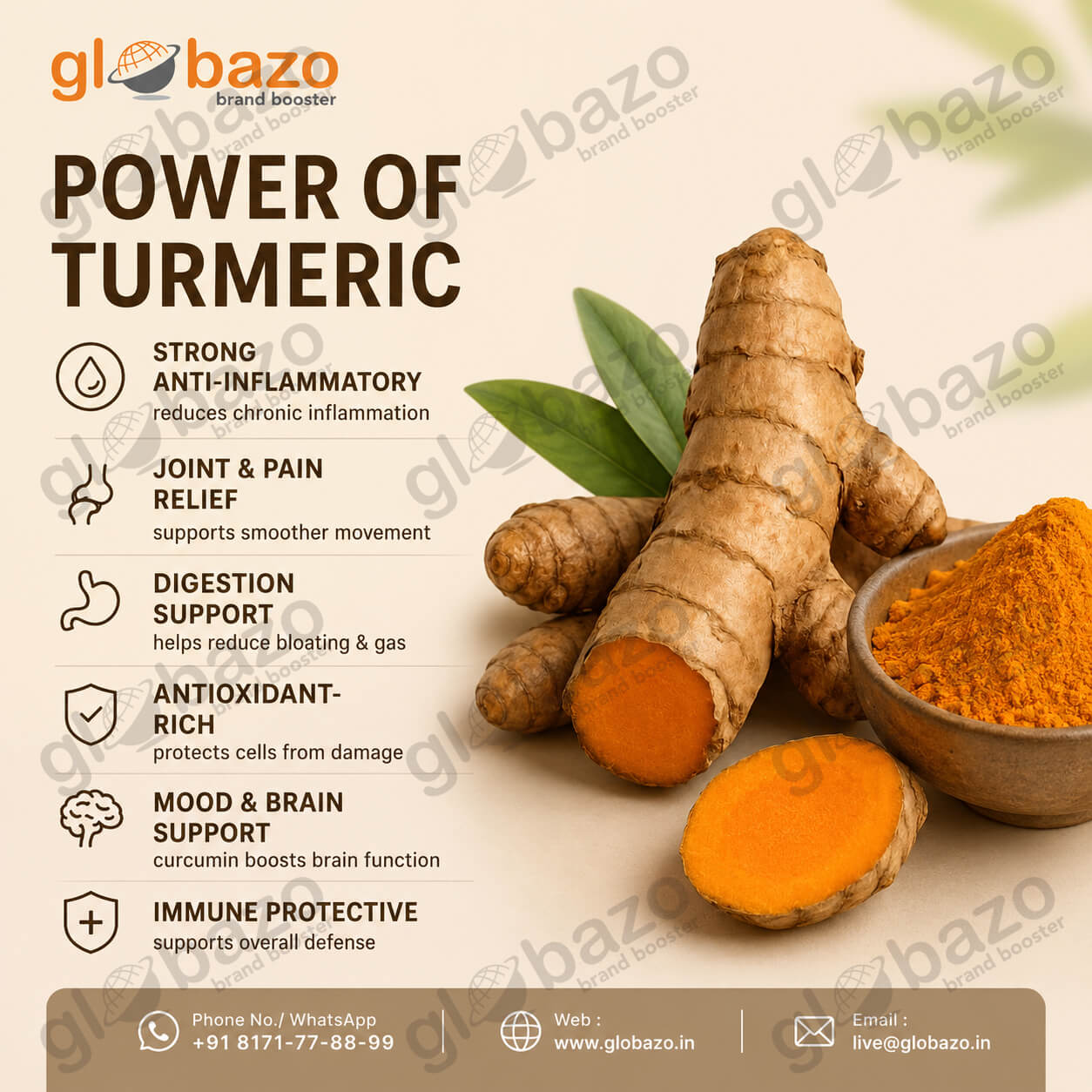 Powder of Turmeric (Spices-34)