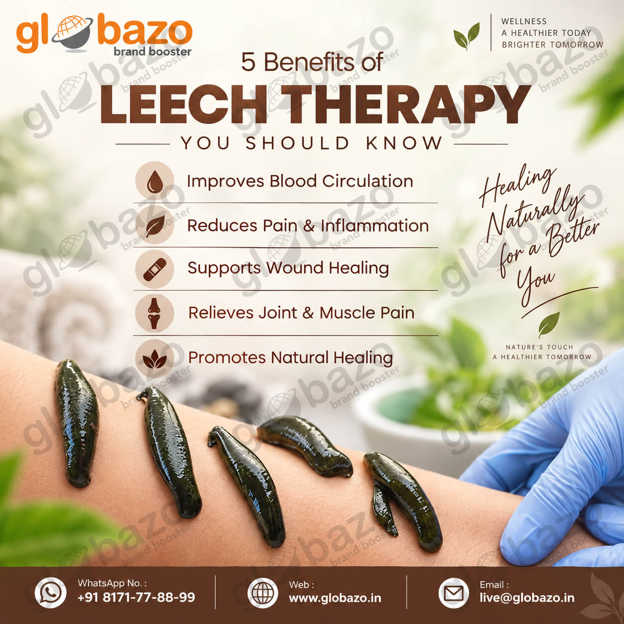 Leech Therapy-09