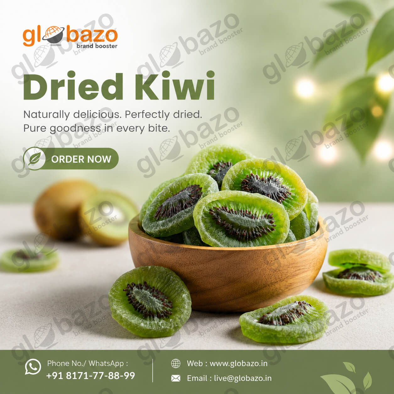 Dried Kiwi (df-01)