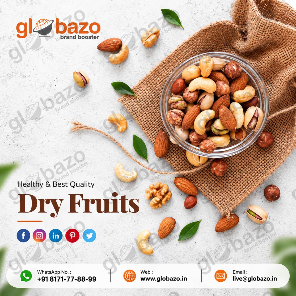 Healthy Dry Fruits (df-24)
