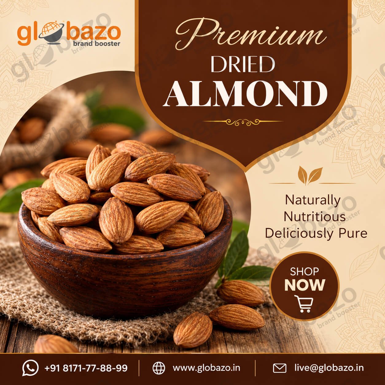Premium Dried Almond (df-29)