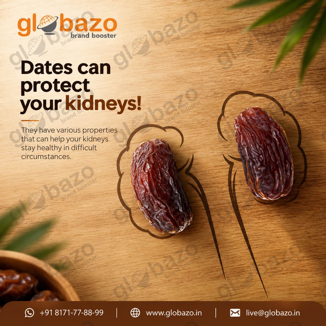 Protect Your Kidney (df-48)
