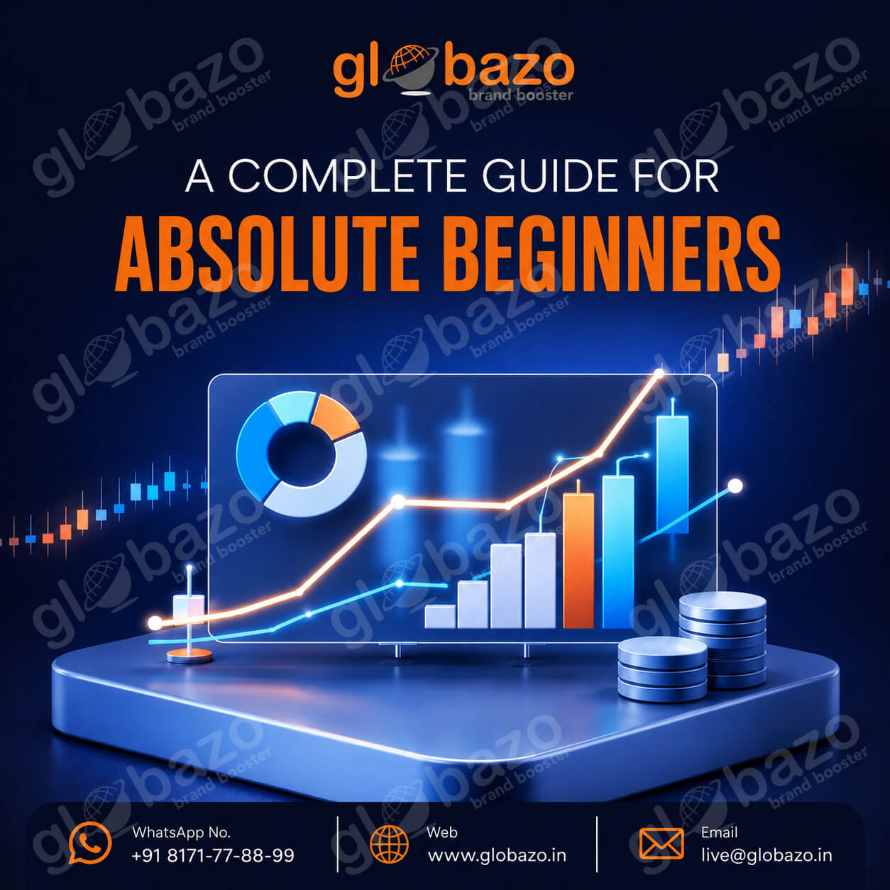 Guide For Biginners (finance-141)