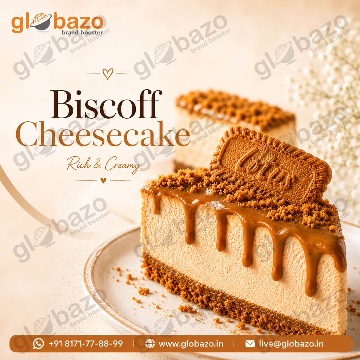 Biscoff Cheese Cake (sw-118)