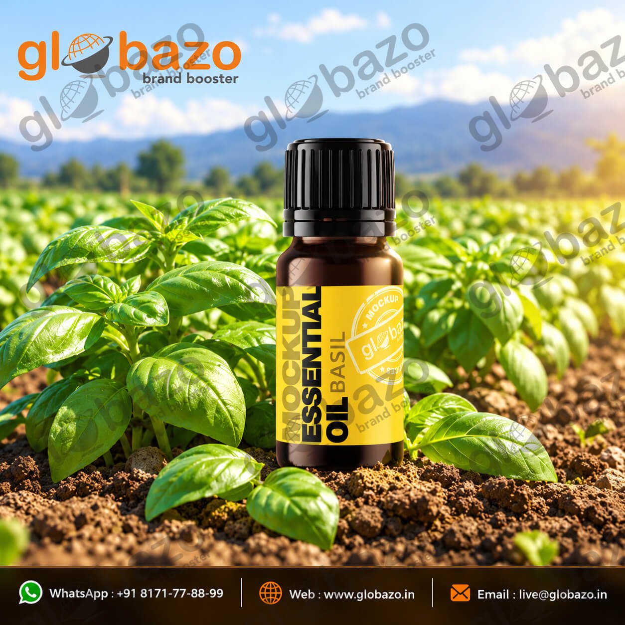 Basil Essential Oil Field Advertisement (ess-65)